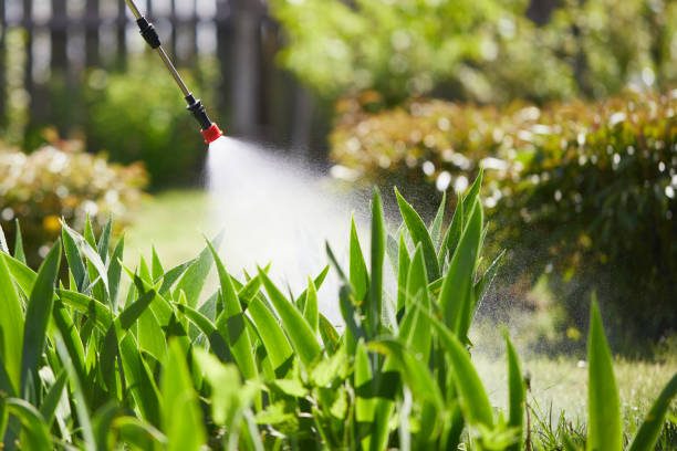 24/7 Emergency Mosquito Control experts in La Porte, IN
